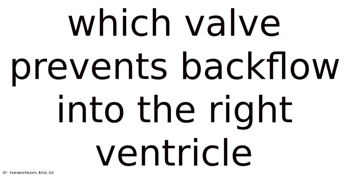 Which Valve Prevents Backflow Into The Right Ventricle