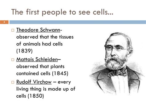 Who Was The First Person To See A Cell