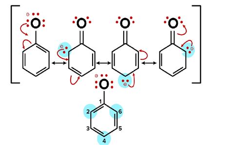 Why Are Phenols More Acidic Than Alcohols