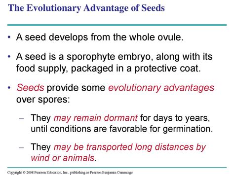 Why Are Seeds An Evolutionary Advantage For Seed Plants