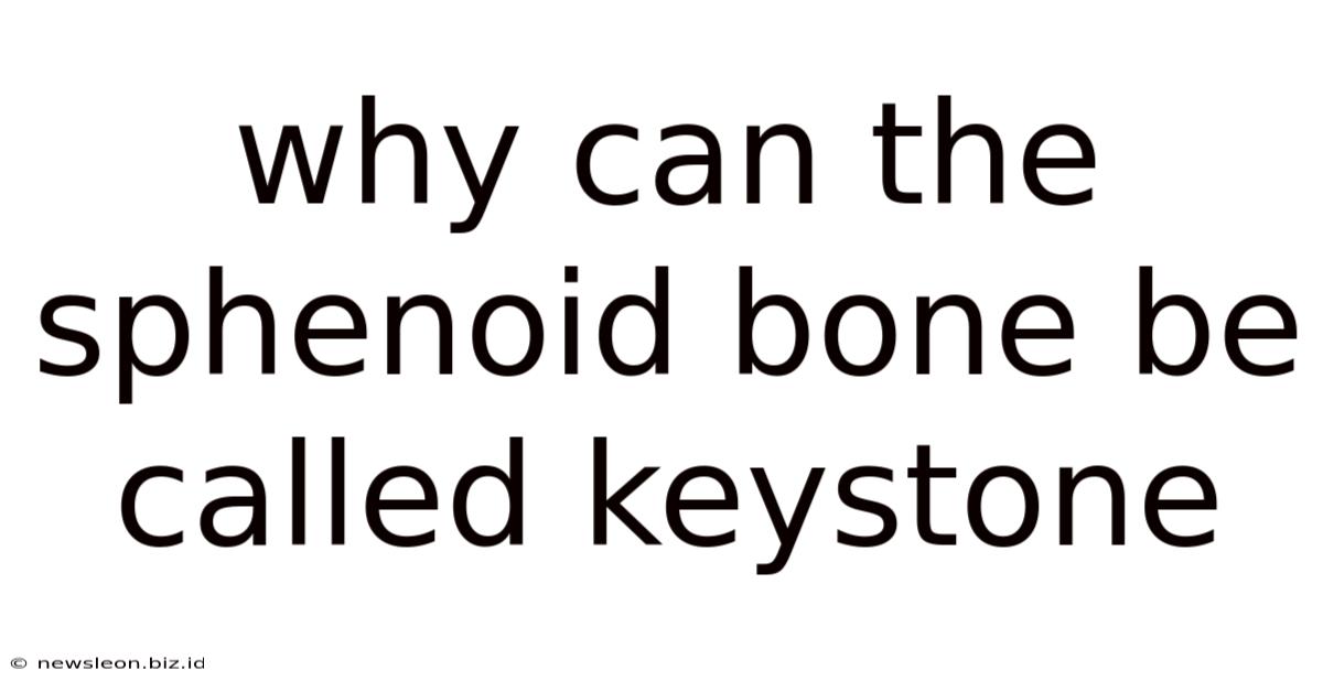 Why Can The Sphenoid Bone Be Called Keystone