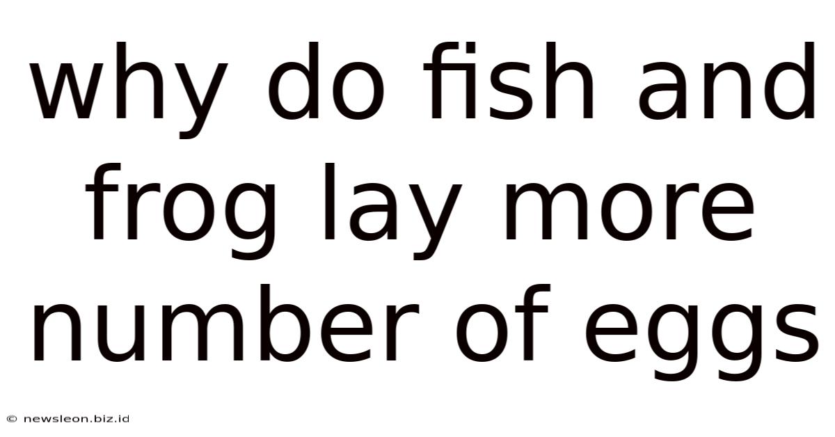 Why Do Fish And Frog Lay More Number Of Eggs