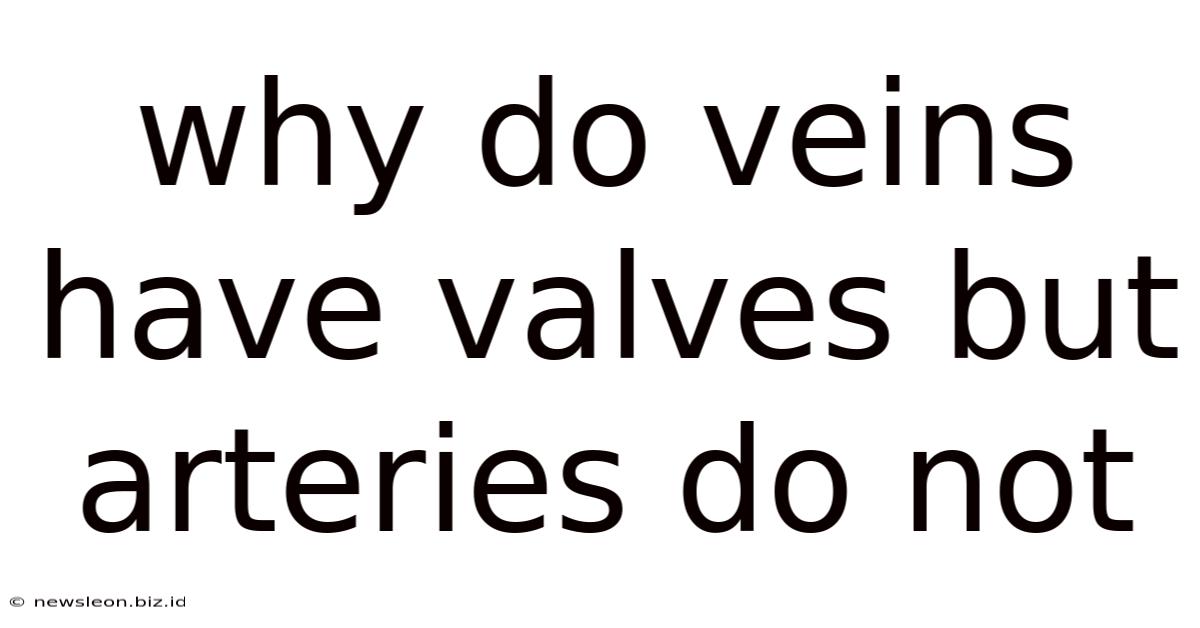 Why Do Veins Have Valves But Arteries Do Not