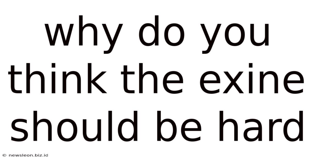 Why Do You Think The Exine Should Be Hard
