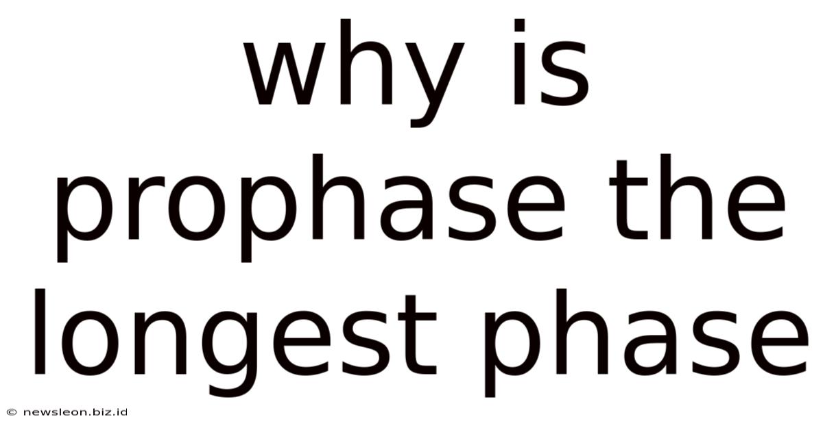 Why Is Prophase The Longest Phase