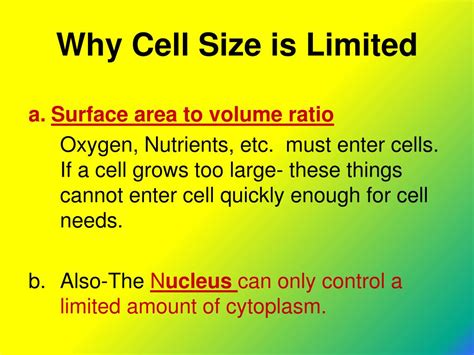 Why Is The Size Of Cells Limited