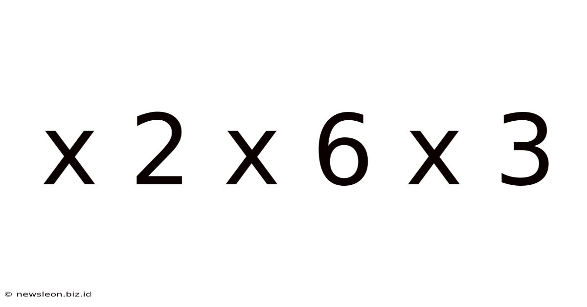 X 2 X 6 X 3